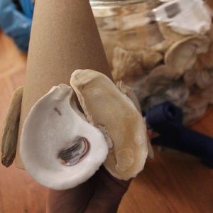 RESERVED FOR Rhonda S-Oyster shells for crafts- cleaned